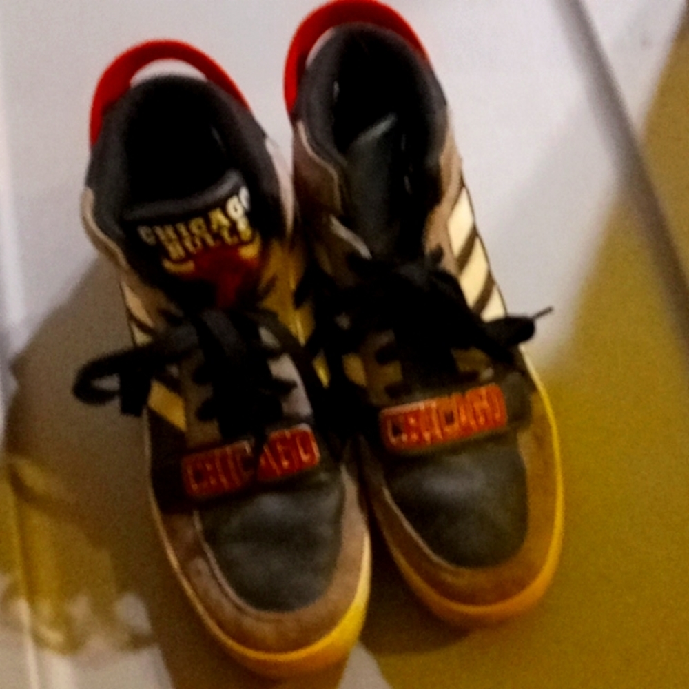 Adidas Chicago bulls special edition shoes